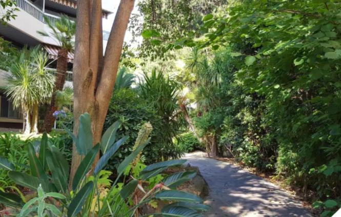Appartement Ste Sophie Cannes